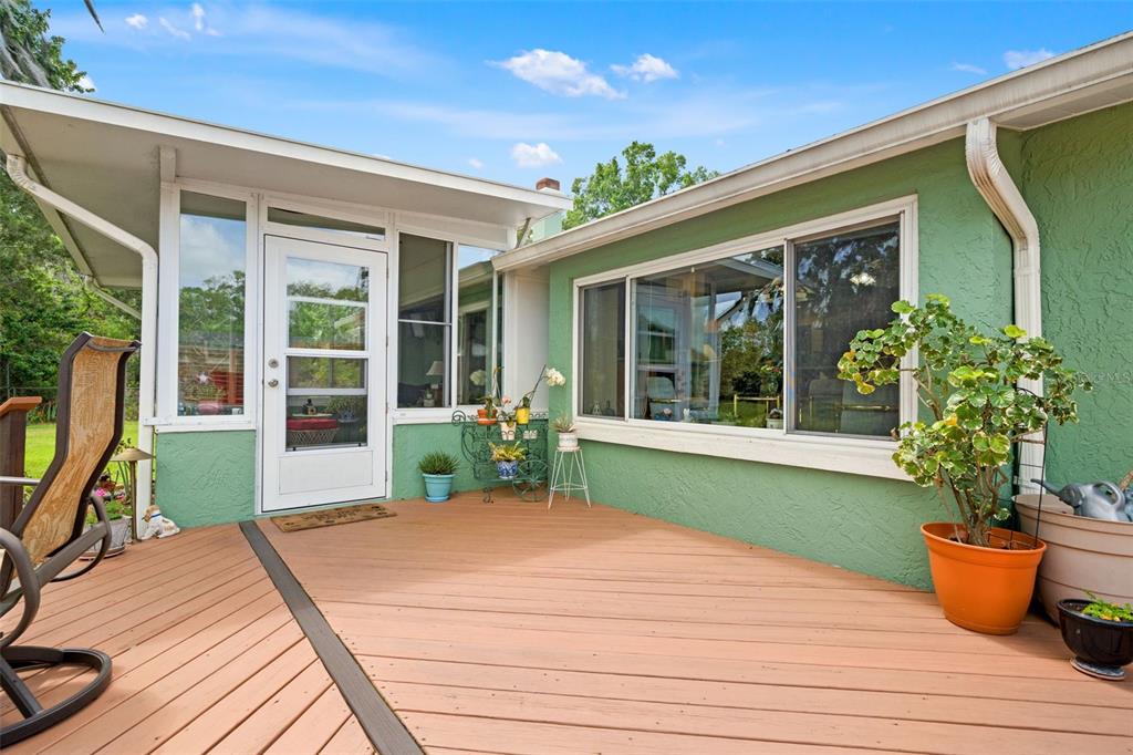 4252 Alpine Road Land O' Lakes, FL 34639 - Photo 37 of 64