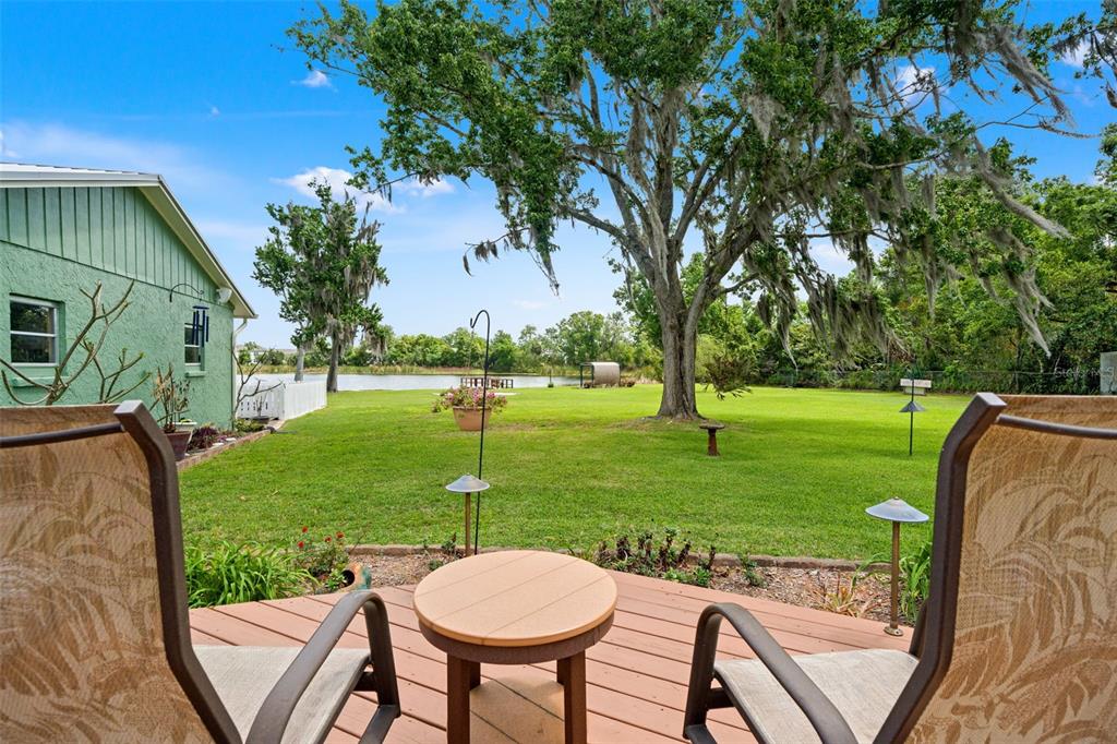 4252 Alpine Road Land O' Lakes, FL 34639 - Photo 38 of 64