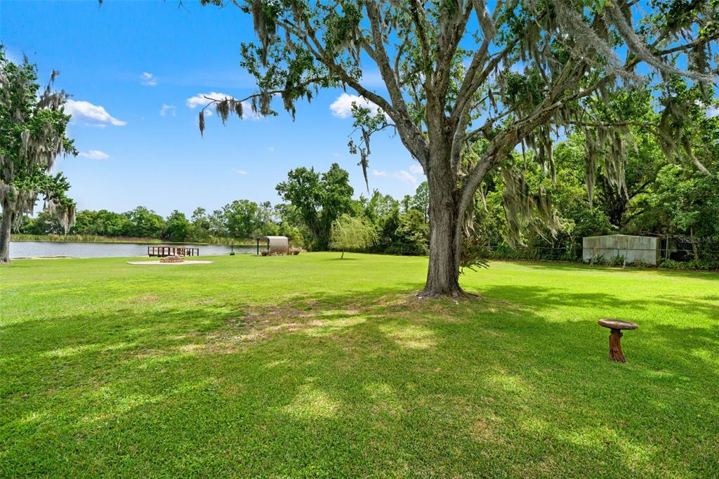 4252 Alpine Road Land O' Lakes, FL 34639 - Photo 41 of 64