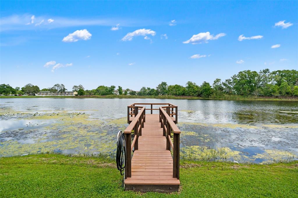 4252 Alpine Road Land O' Lakes, FL 34639 - Photo 47 of 64