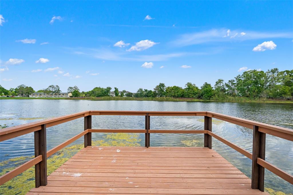 4252 Alpine Road Land O' Lakes, FL 34639 - Photo 48 of 64