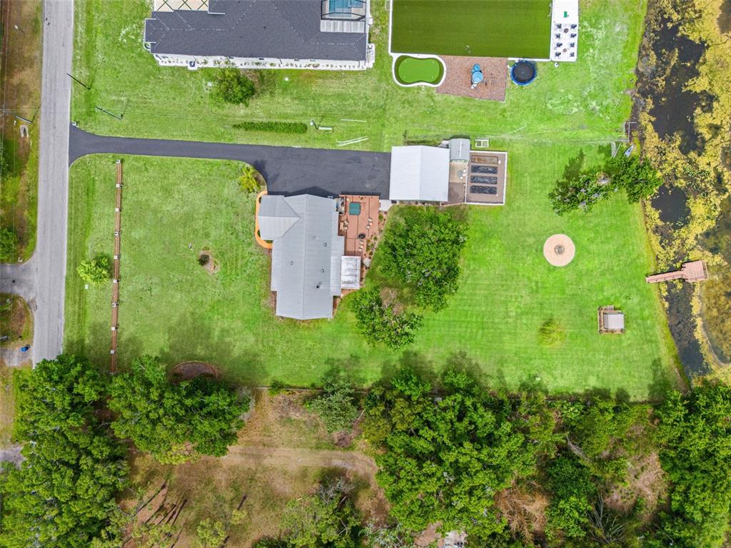 4252 Alpine Road Land O' Lakes, FL 34639 - Photo 64 of 64