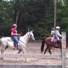 226 Bluebird Drive Bushkill, PA 18324 - Photo 6 of 6 a view of yard with sitting area