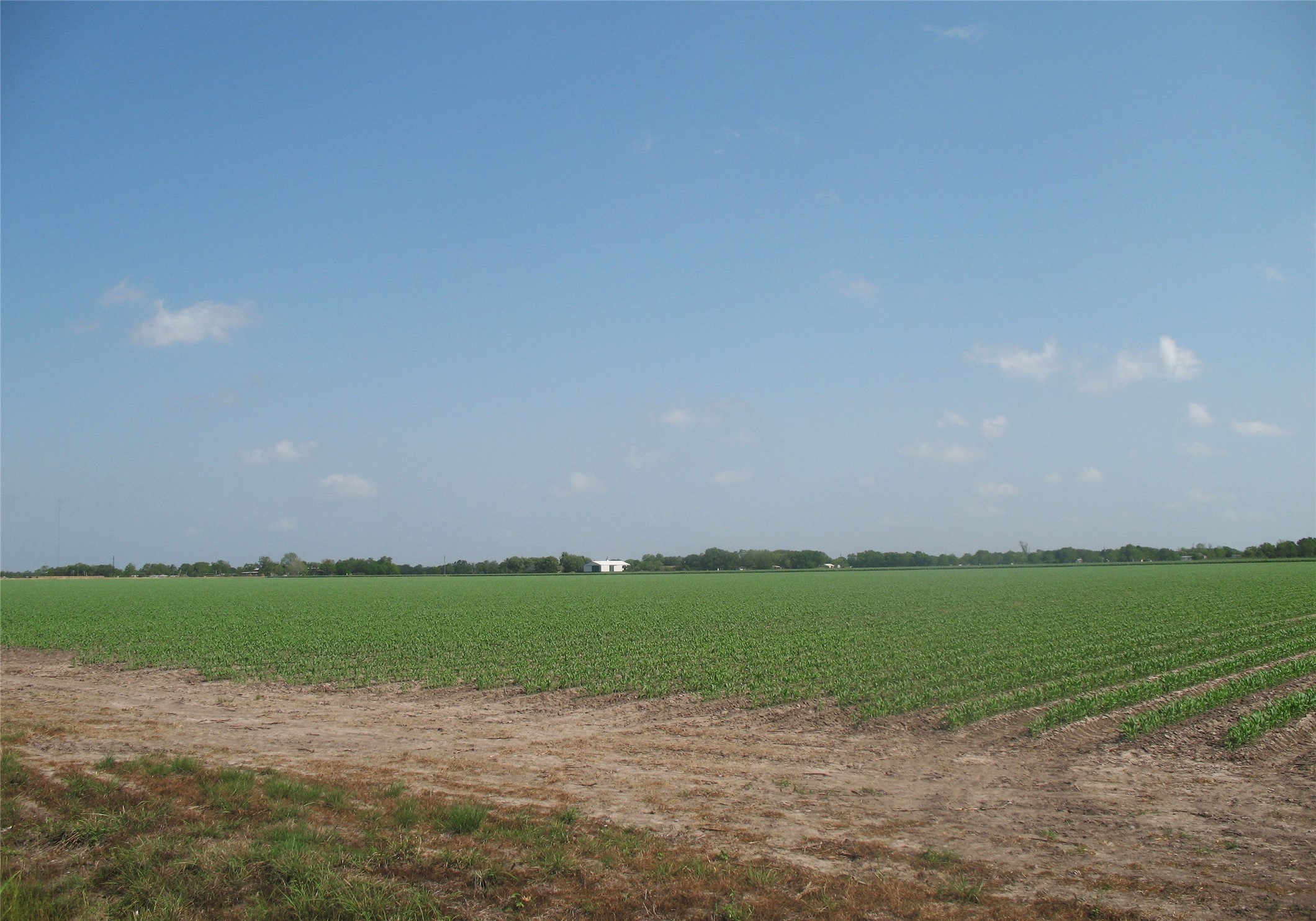 0 Fm 360 Needville, TX 77461 - Photo 7 of 8 a view of a lake with a big yard