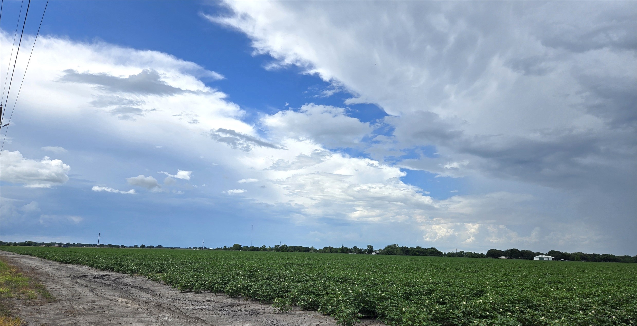 0 Fm 360 Needville, TX 77461 - Photo 8 of 8 a view of a city with lots of green space