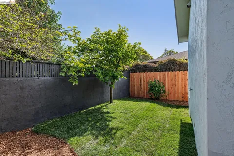 a view of a backyard with potted plants and wooden fence