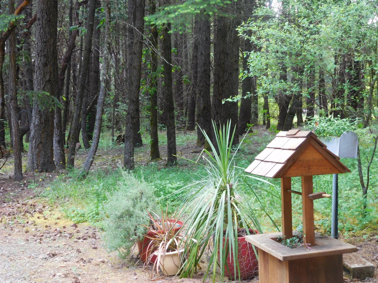 4933 Dick George Road Cave Junction, OR 97523 - Photo 22 of 22 Pretty picture of the front/south side o