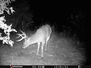 10.357-ac Cooper Road West Union, OH 45693 - Photo 16 of 20