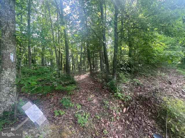 a view of outdoor space and green space