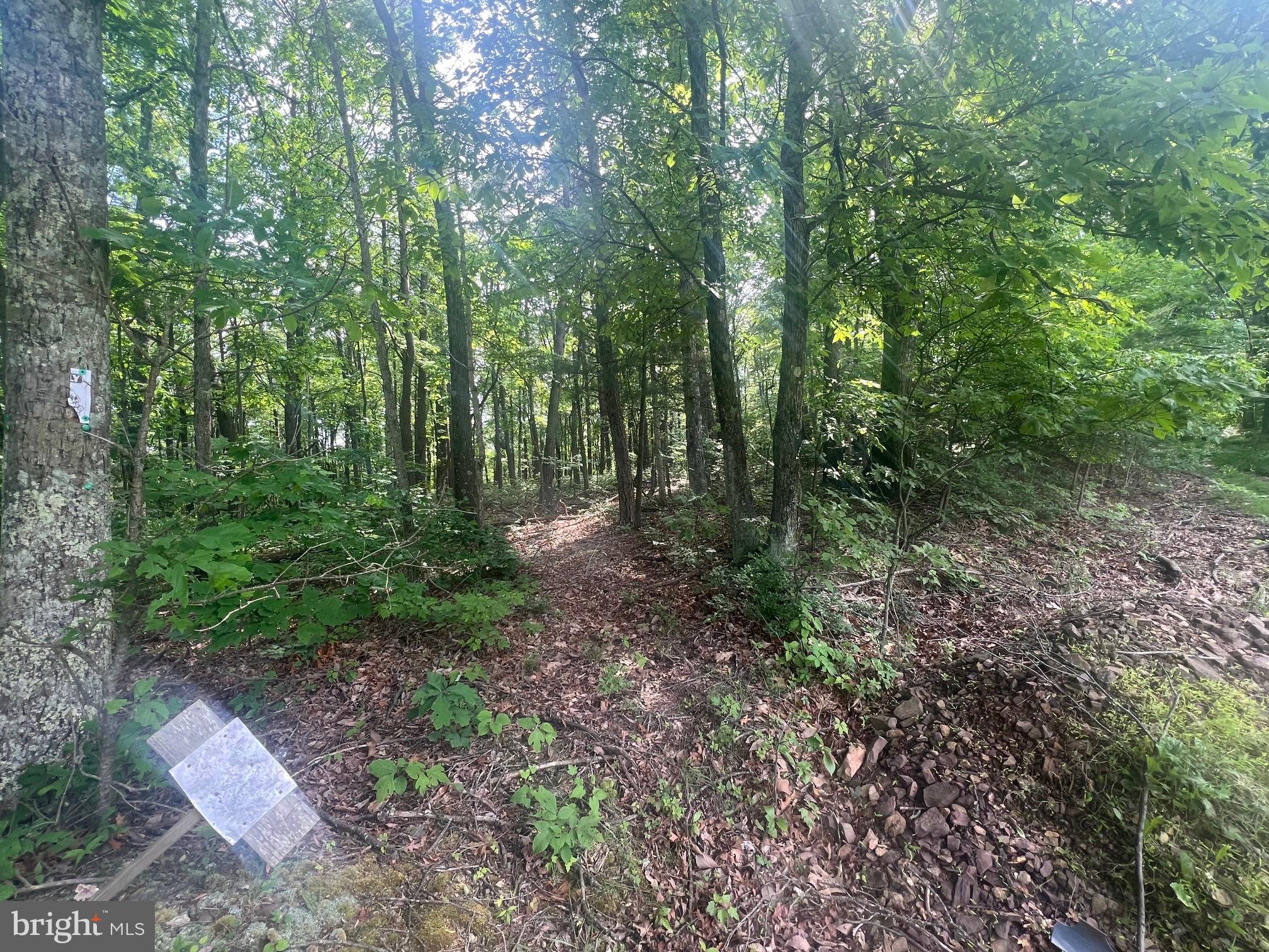 Exline Road Hancock, MD 21750 - Photo 3 of 4 a view of outdoor space and green space