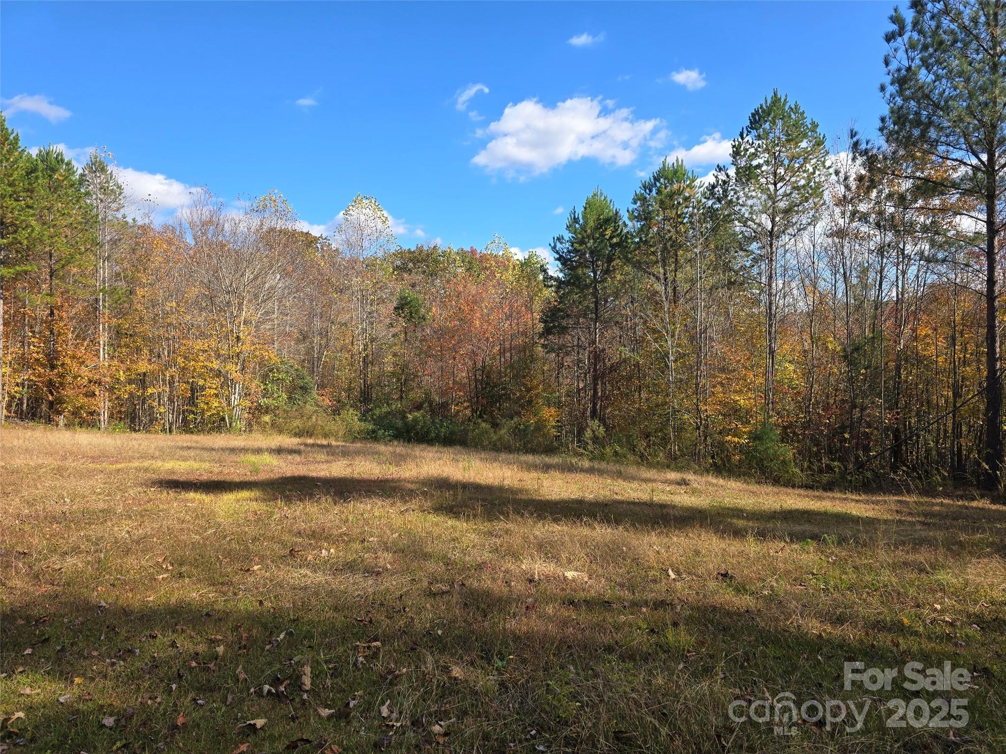 856 Horseshoe Bend Road Troy, NC 27371 - Photo 2 of 9 Gallery Image 2