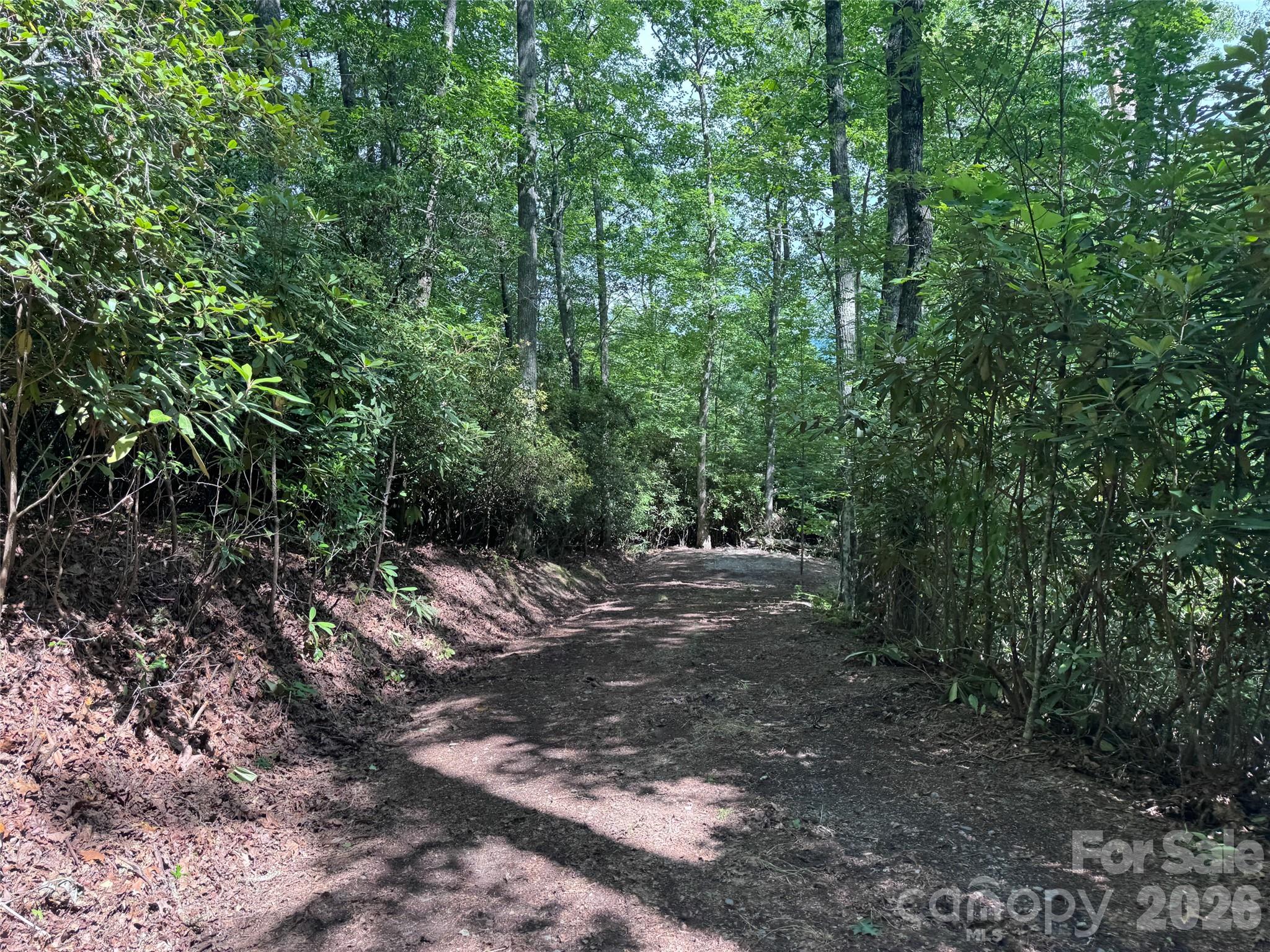 10 A Reserve Road Pisgah Forest, NC 28768 - Photo 27 of 33