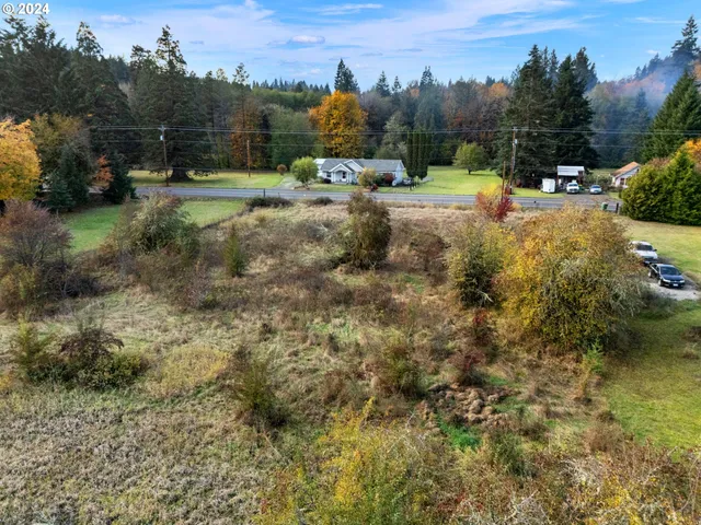 a view of a backyard