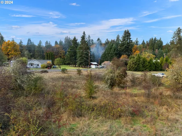 a view of a field with trees in the background