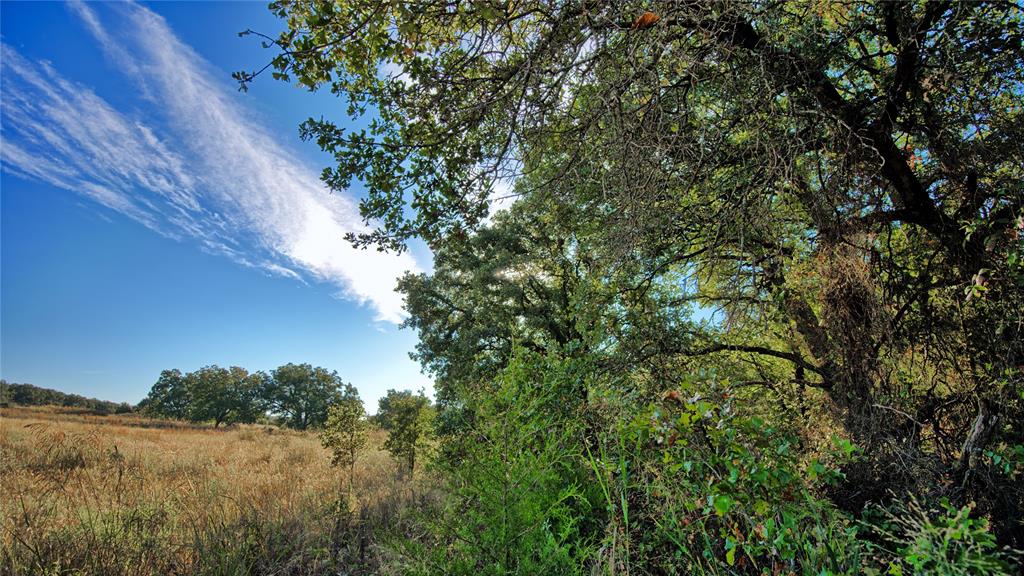 4 4 Wire Road Bowie, TX 76230 - Photo 27 of 39 a view of a field of grass and trees