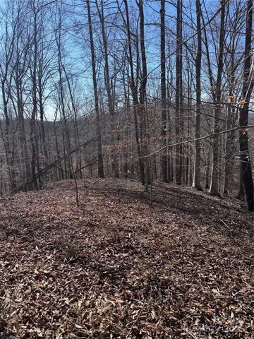 $38,000 | 0 Cross Creek Drive, Unit 136A, Rutherfordton, NC 28139