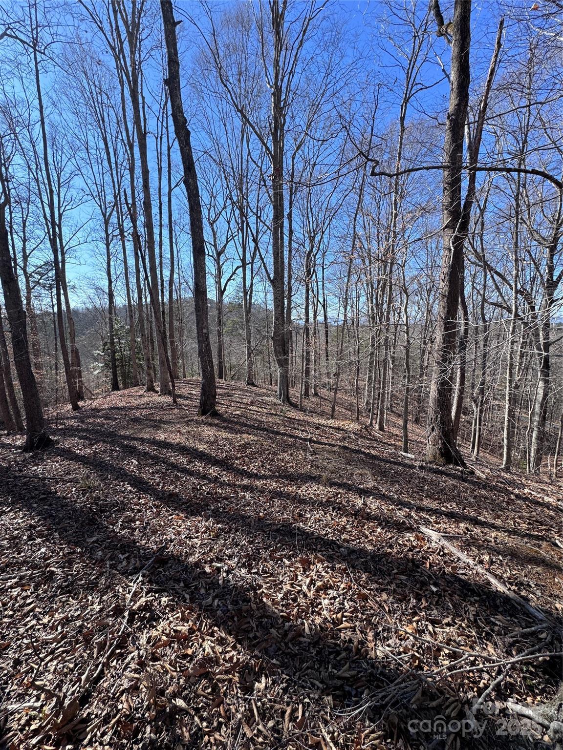 0 Cross Creek Drive, Unit 136A Rutherfordton, NC 28139 - Photo 11 of 30