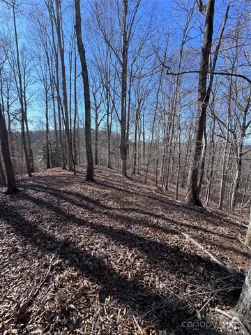 $38,000 | 0 Cross Creek Drive, Unit 136A, Rutherfordton, NC 28139