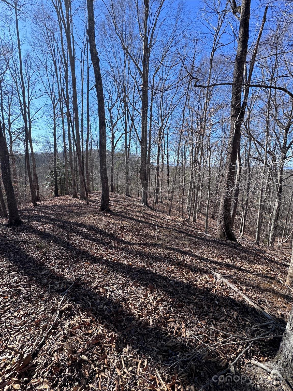 0 Cross Creek Drive, Unit 136A Rutherfordton, NC 28139 - Photo 12 of 30