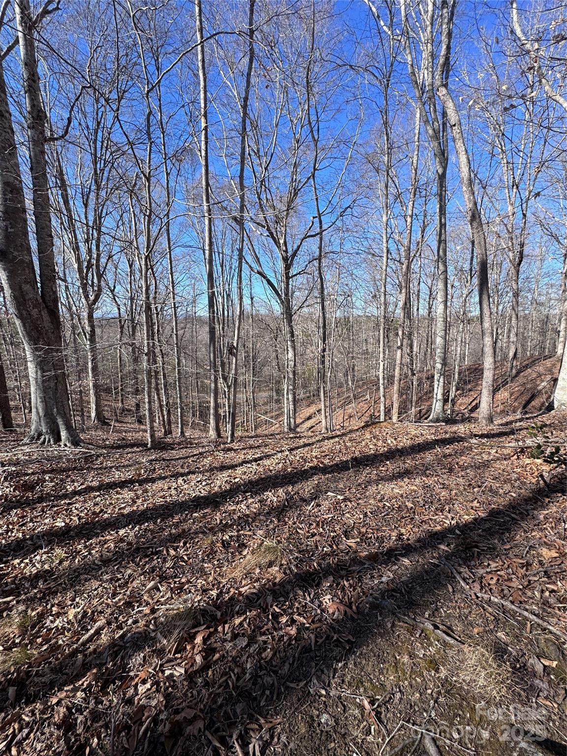 0 Cross Creek Drive, Unit 136A Rutherfordton, NC 28139 - Photo 13 of 30