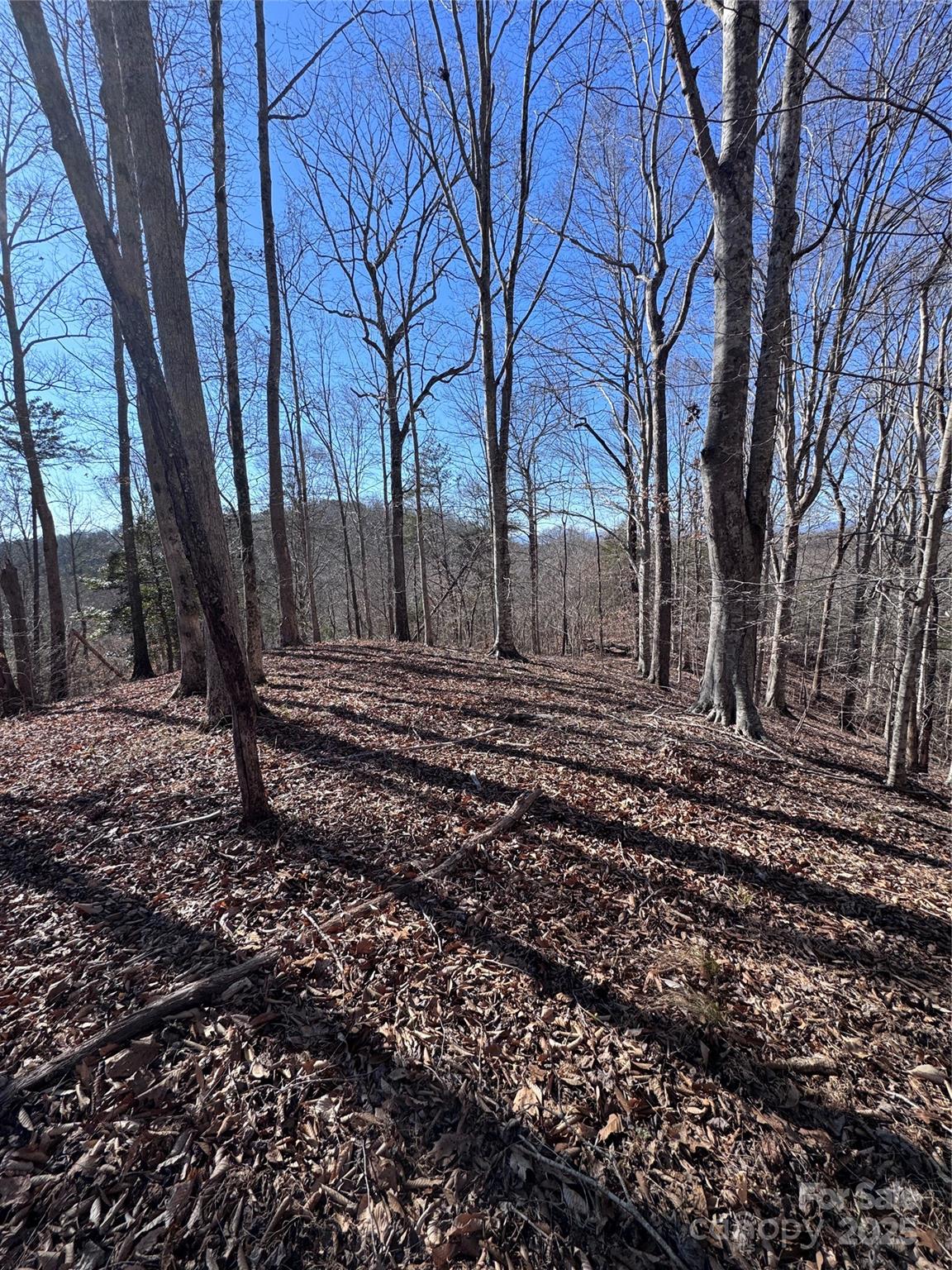 0 Cross Creek Drive, Unit 136A Rutherfordton, NC 28139 - Photo 14 of 30