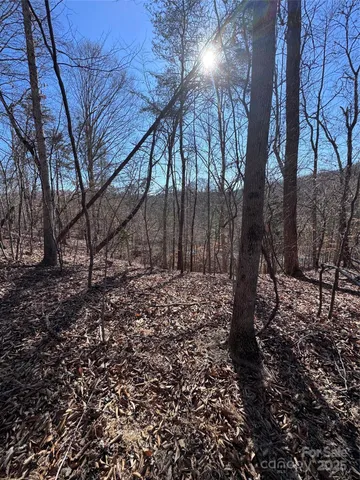 $38,000 | 0 Cross Creek Drive, Unit 136A, Rutherfordton, NC 28139