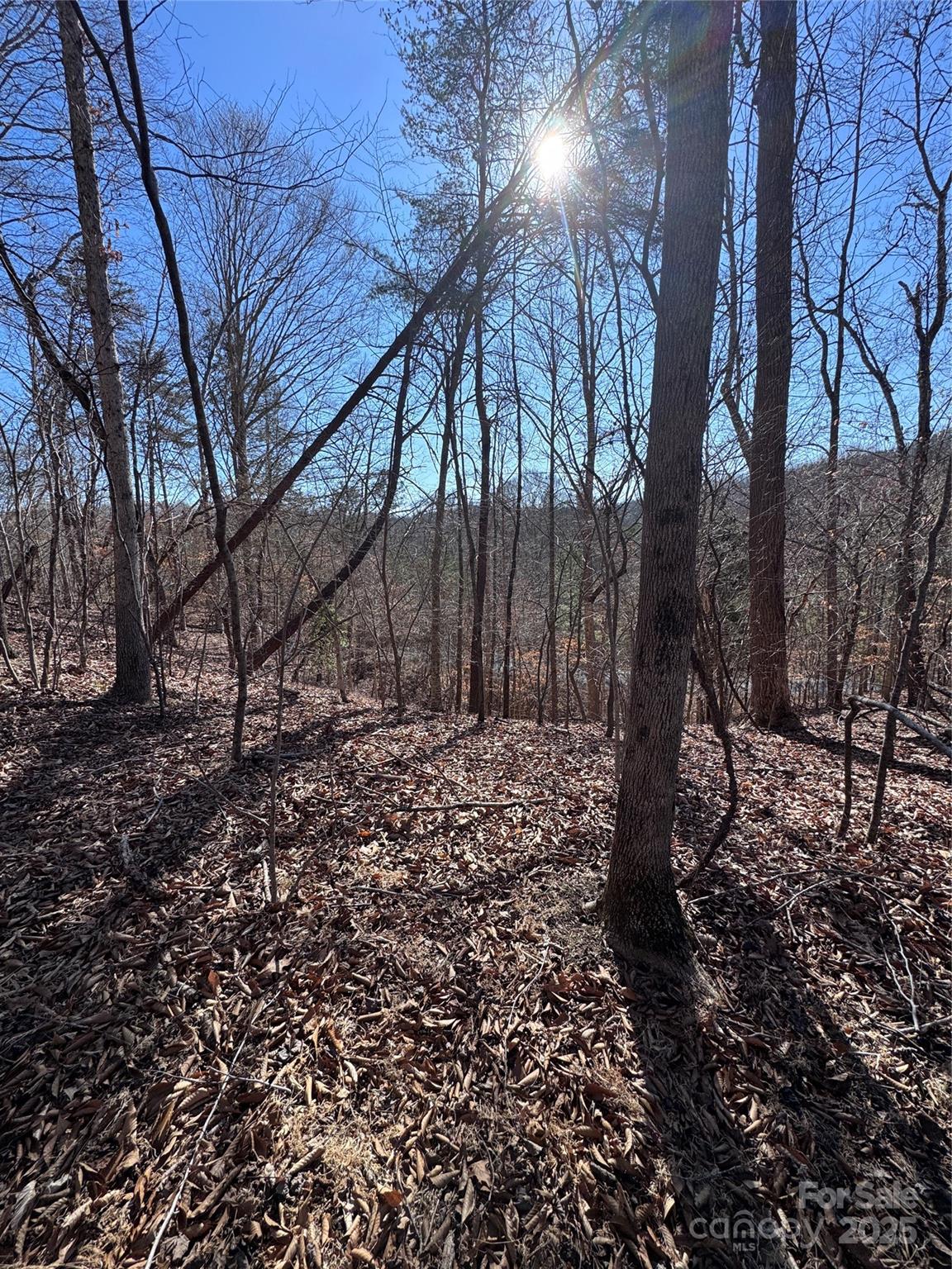 0 Cross Creek Drive, Unit 136A Rutherfordton, NC 28139 - Photo 17 of 30