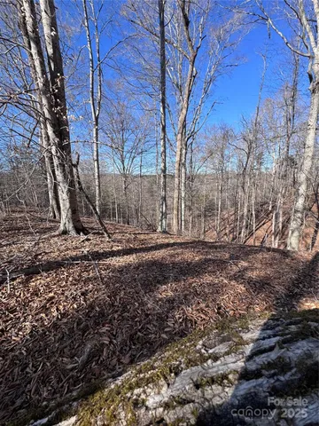 $38,000 | 0 Cross Creek Drive, Unit 136A, Rutherfordton, NC 28139