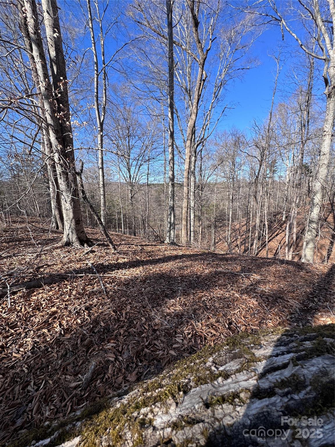 0 Cross Creek Drive, Unit 136A Rutherfordton, NC 28139 - Photo 18 of 30