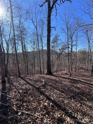 $38,000 | 0 Cross Creek Drive, Unit 136A, Rutherfordton, NC 28139