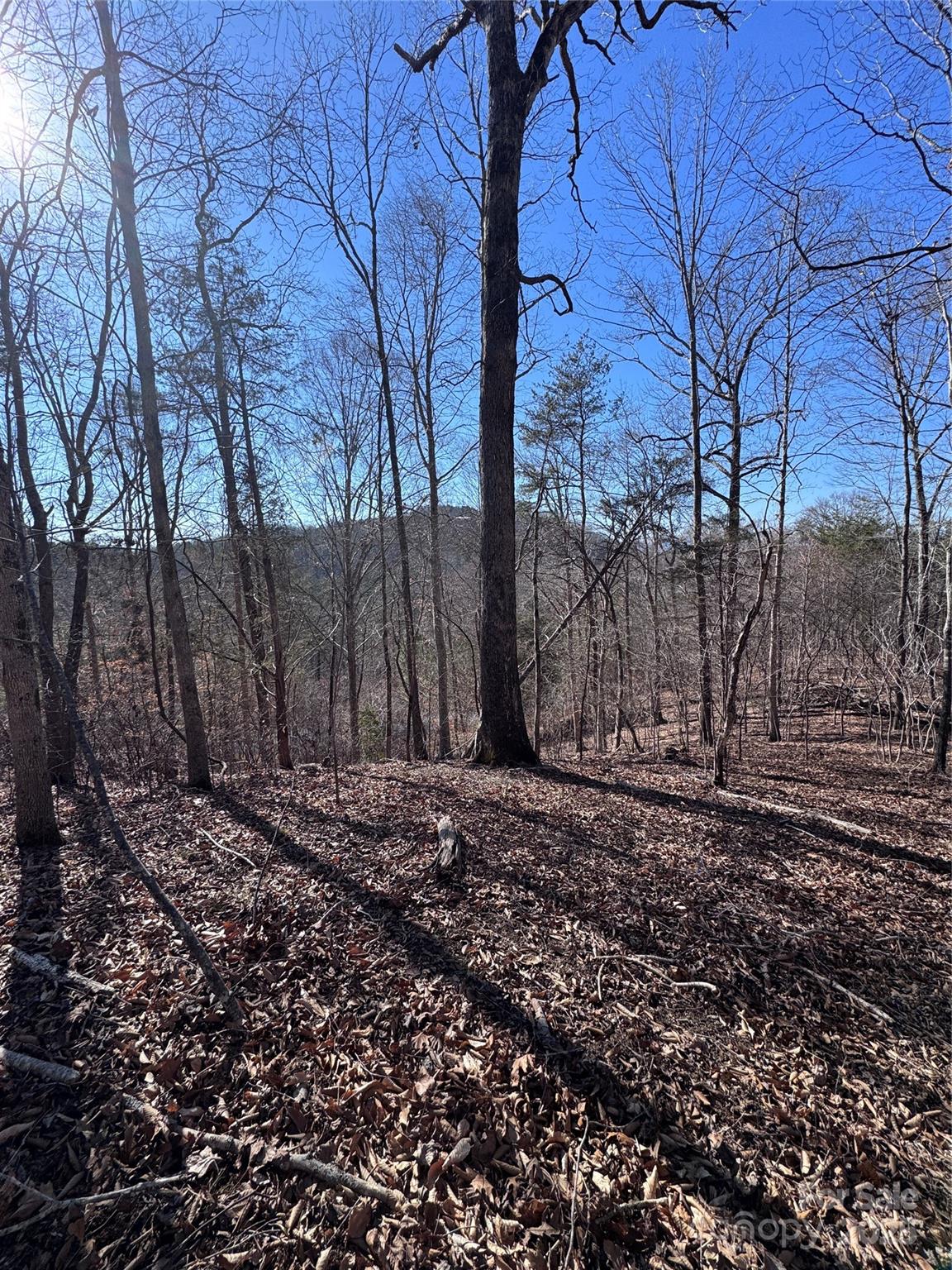 0 Cross Creek Drive, Unit 136A Rutherfordton, NC 28139 - Photo 19 of 30