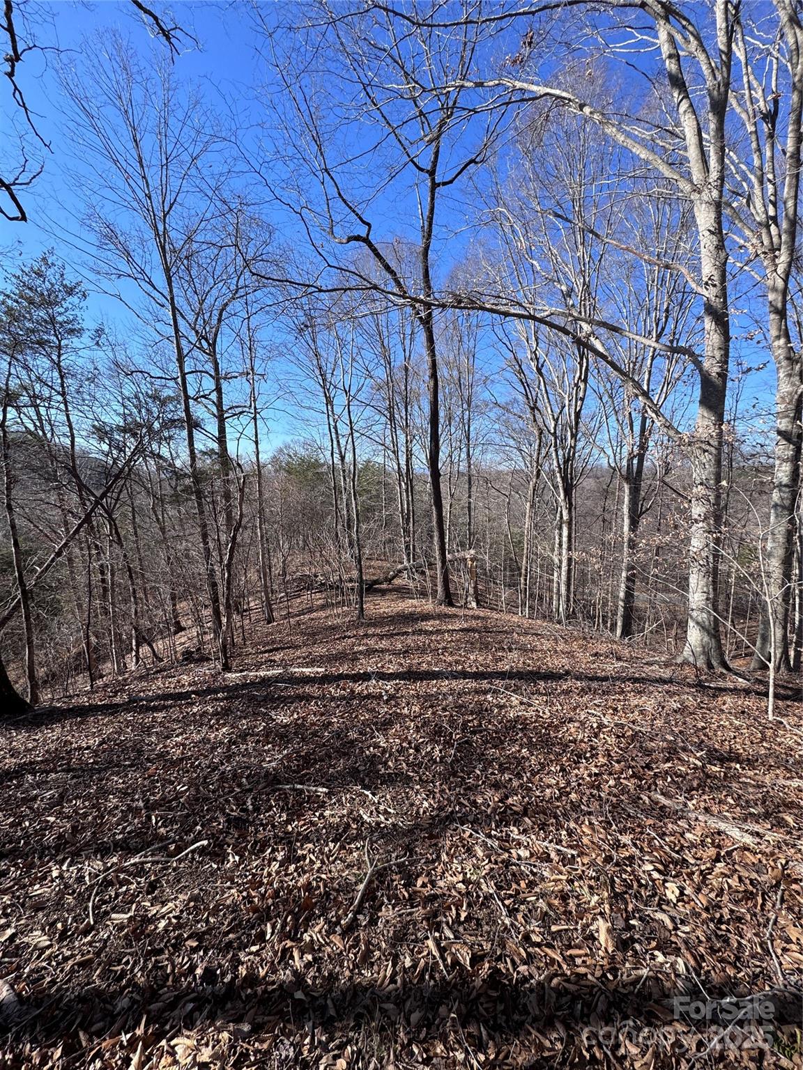 0 Cross Creek Drive, Unit 136A Rutherfordton, NC 28139 - Photo 20 of 30