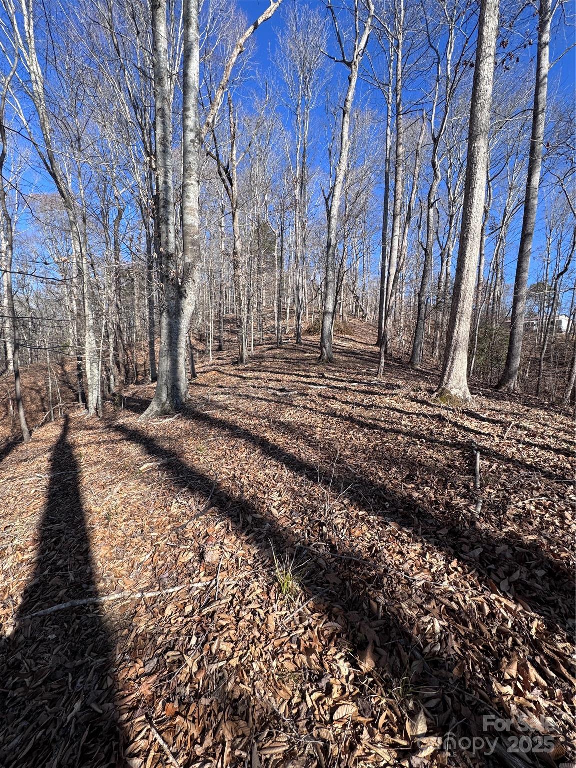 0 Cross Creek Drive, Unit 136A Rutherfordton, NC 28139 - Photo 22 of 30