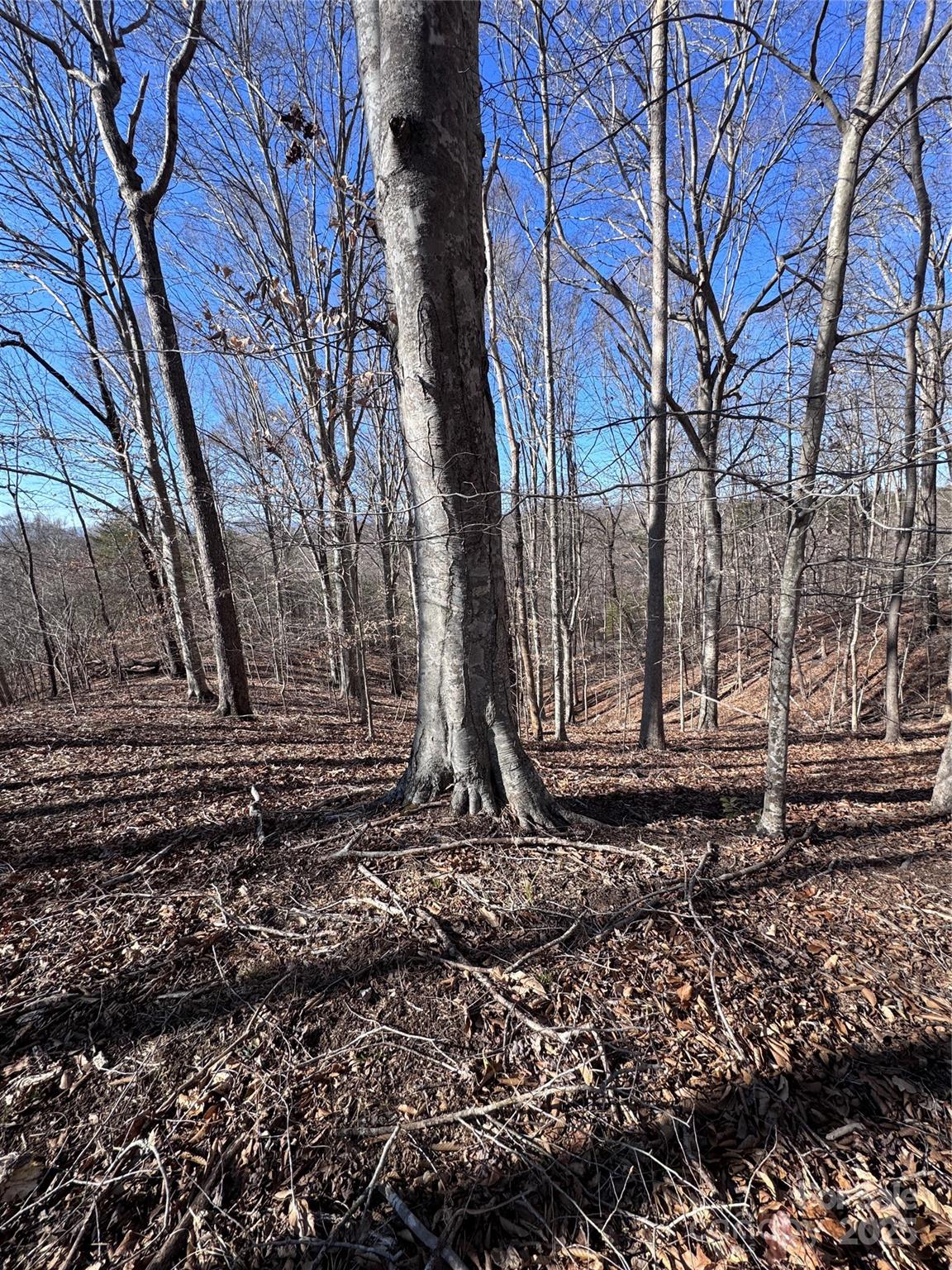 0 Cross Creek Drive, Unit 136A Rutherfordton, NC 28139 - Photo 23 of 30