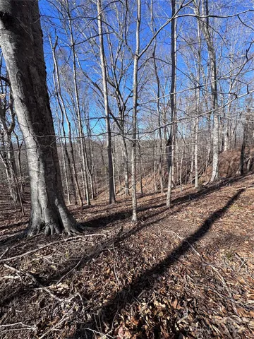 $38,000 | 0 Cross Creek Drive, Unit 136A, Rutherfordton, NC 28139