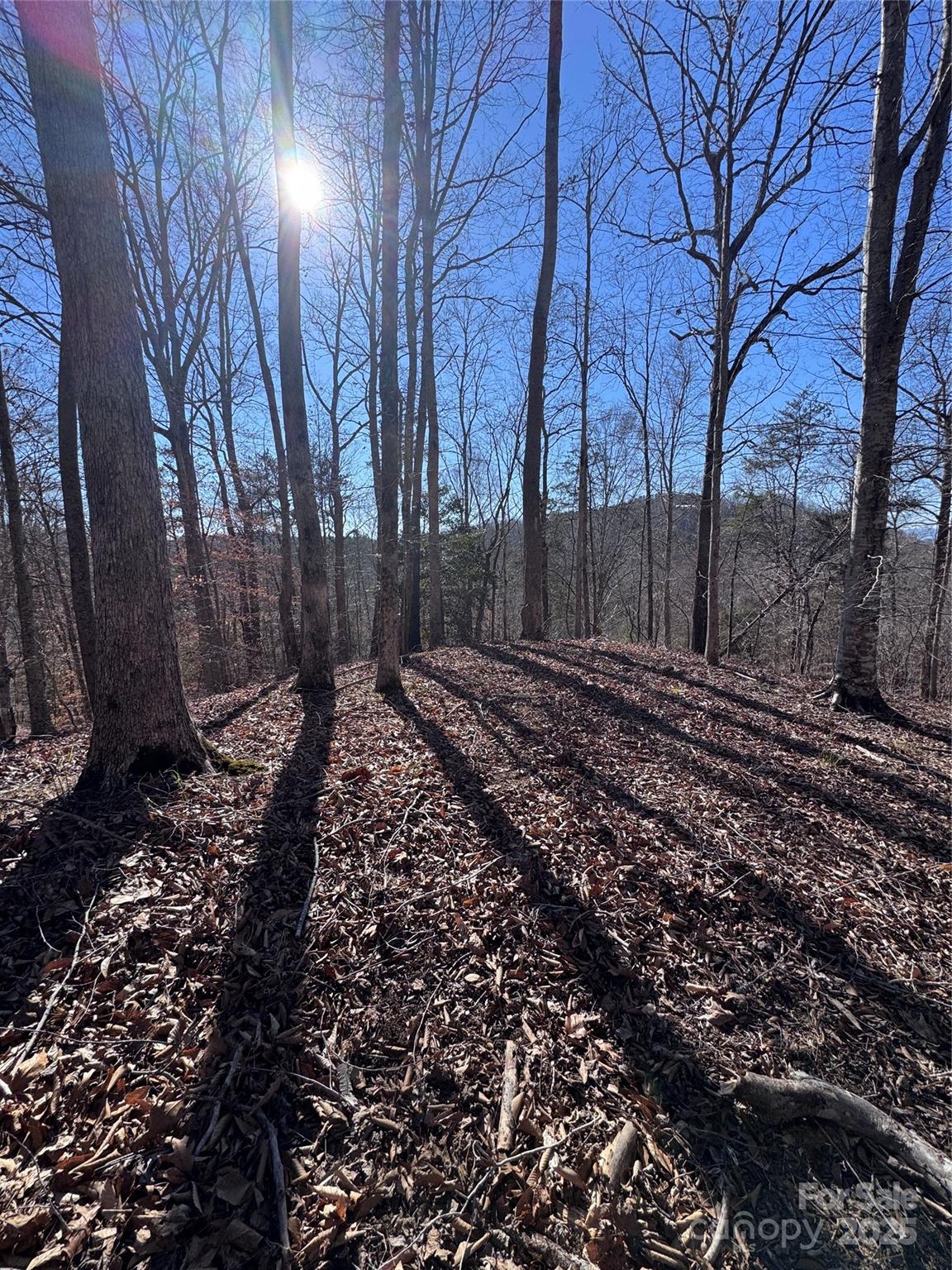 0 Cross Creek Drive, Unit 136A Rutherfordton, NC 28139 - Photo 25 of 30