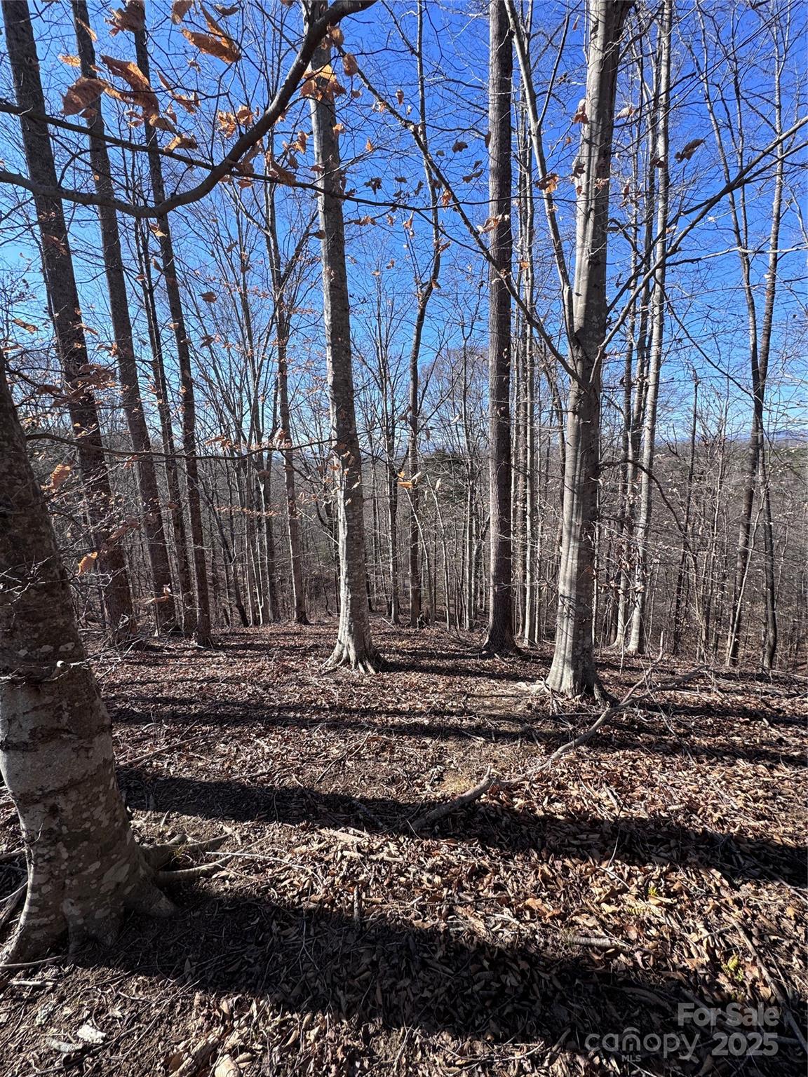 0 Cross Creek Drive, Unit 136A Rutherfordton, NC 28139 - Photo 26 of 30