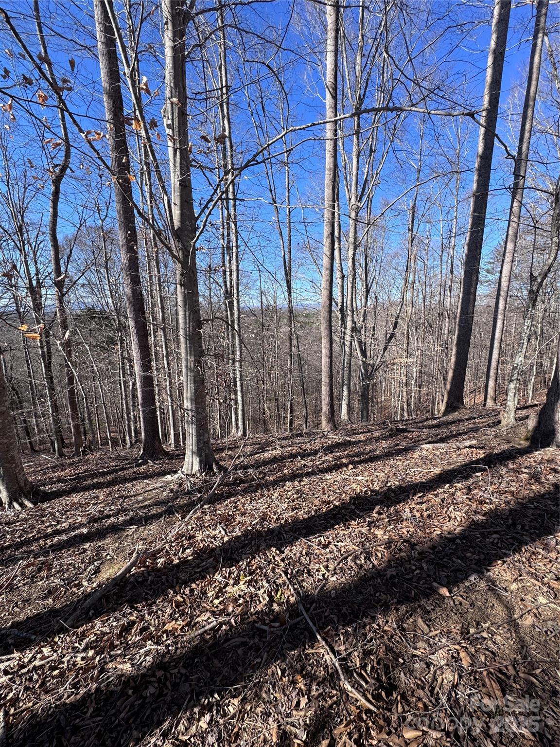 0 Cross Creek Drive, Unit 136A Rutherfordton, NC 28139 - Photo 27 of 30