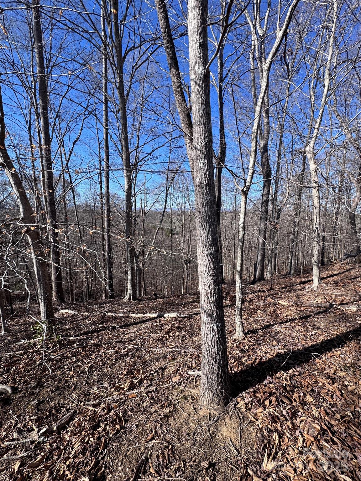 0 Cross Creek Drive, Unit 136A Rutherfordton, NC 28139 - Photo 3 of 30