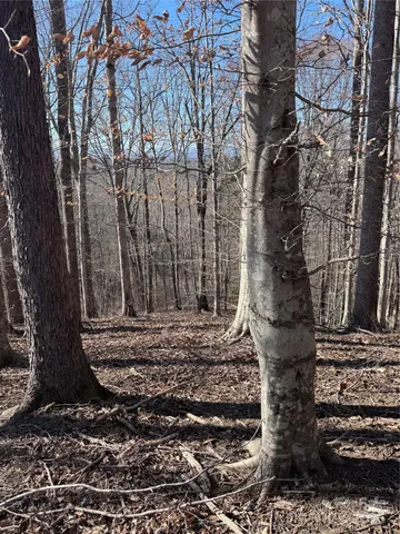 $38,000 | 0 Cross Creek Drive, Unit 136A, Rutherfordton, NC 28139