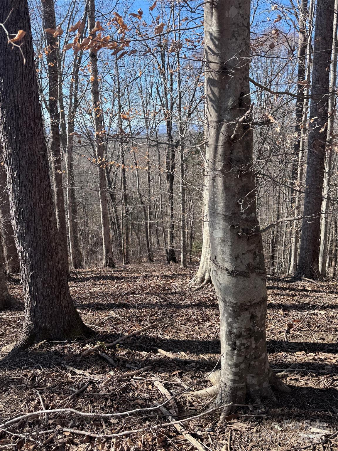 0 Cross Creek Drive, Unit 136A Rutherfordton, NC 28139 - Photo 4 of 30