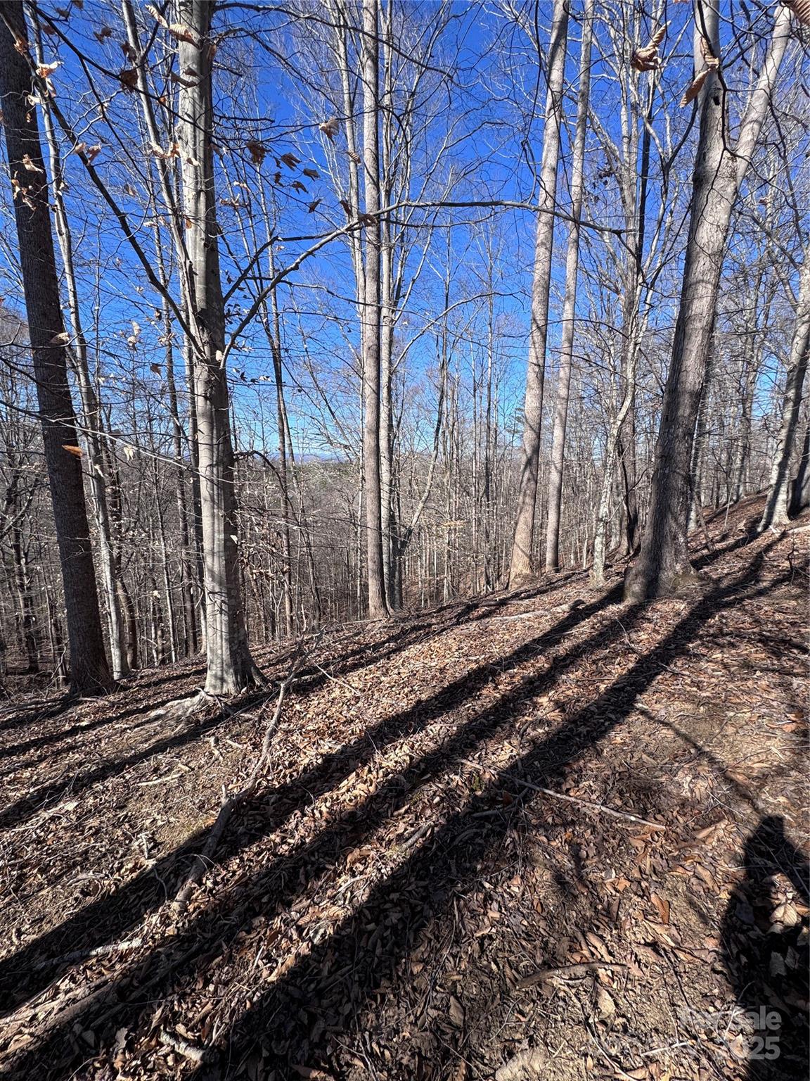 0 Cross Creek Drive, Unit 136A Rutherfordton, NC 28139 - Photo 5 of 30