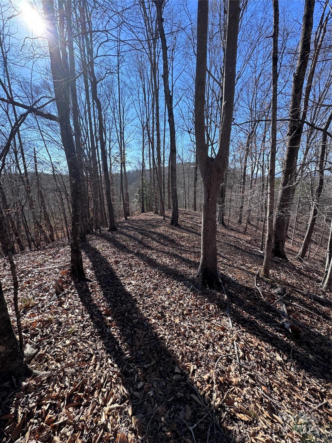 0 Cross Creek Drive, Unit 136A Rutherfordton, NC 28139 - Photo 6 of 30