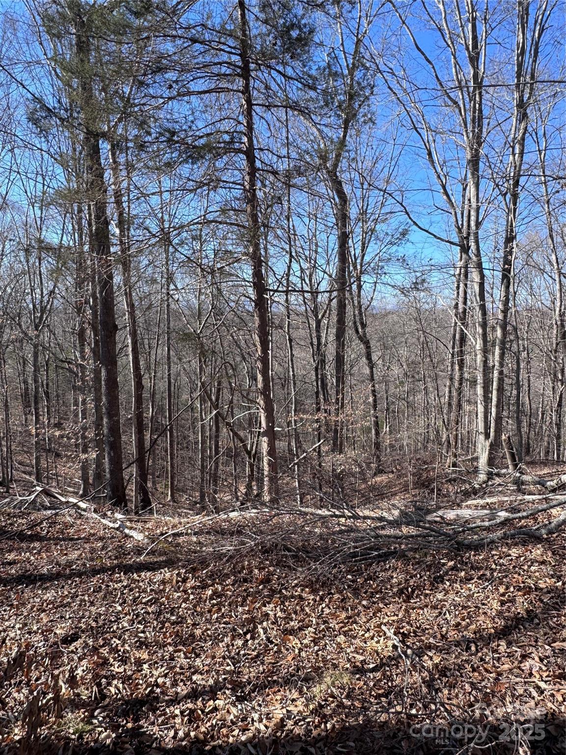 0 Cross Creek Drive, Unit 136A Rutherfordton, NC 28139 - Photo 8 of 30