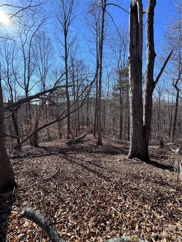 $38,000 | 0 Cross Creek Drive, Unit 136A, Rutherfordton, NC 28139