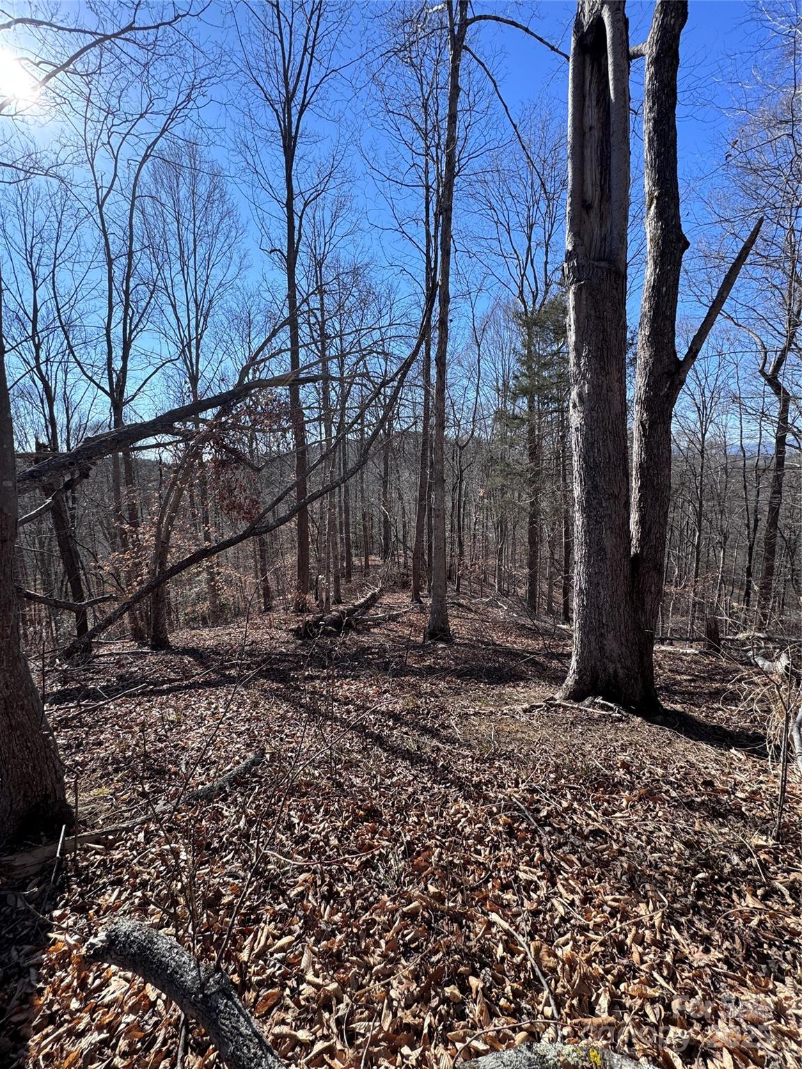 0 Cross Creek Drive, Unit 136A Rutherfordton, NC 28139 - Photo 9 of 30