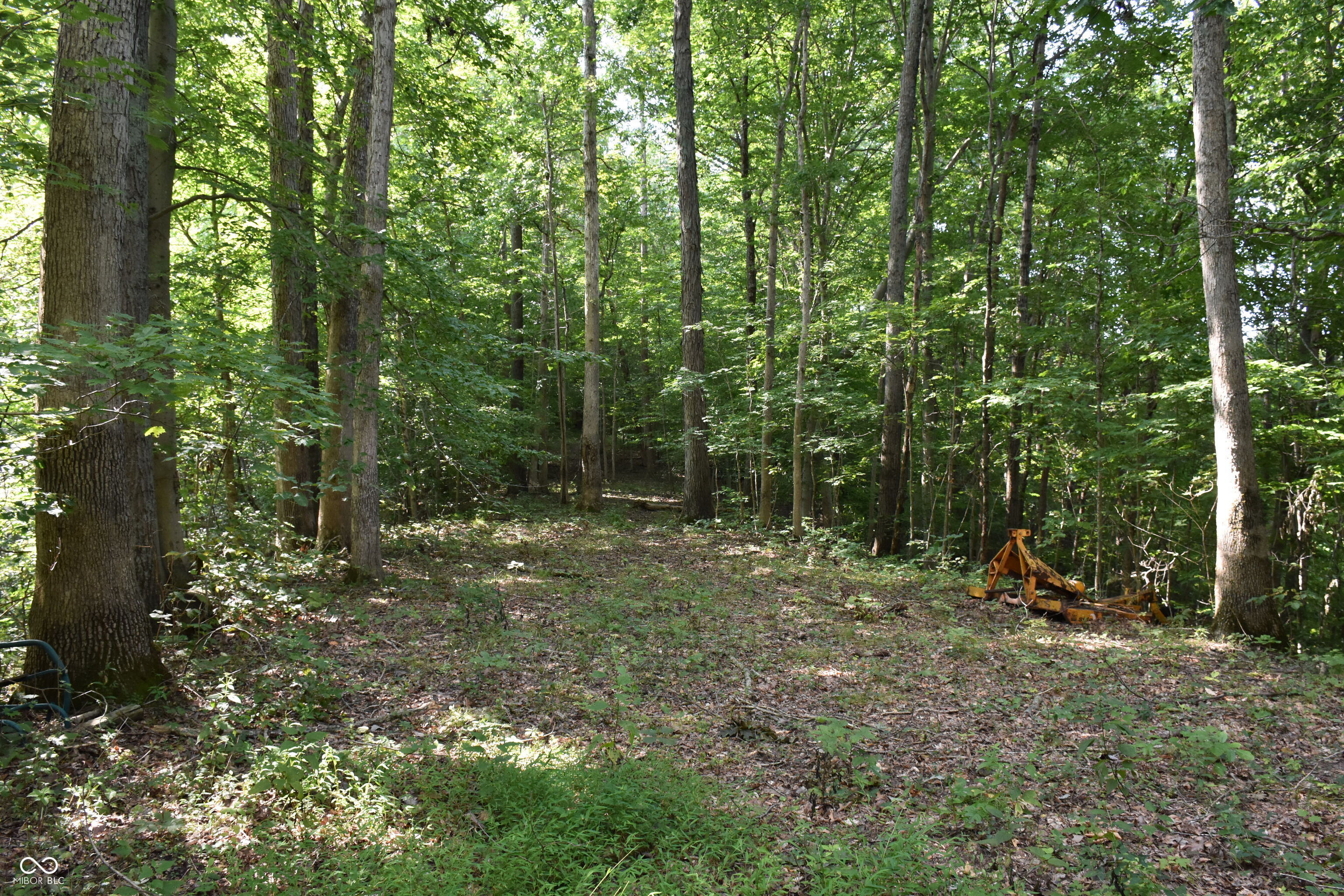 0 Sichting Road Martinsville, IN 46151 - Photo 20 of 43 Gallery Image 20