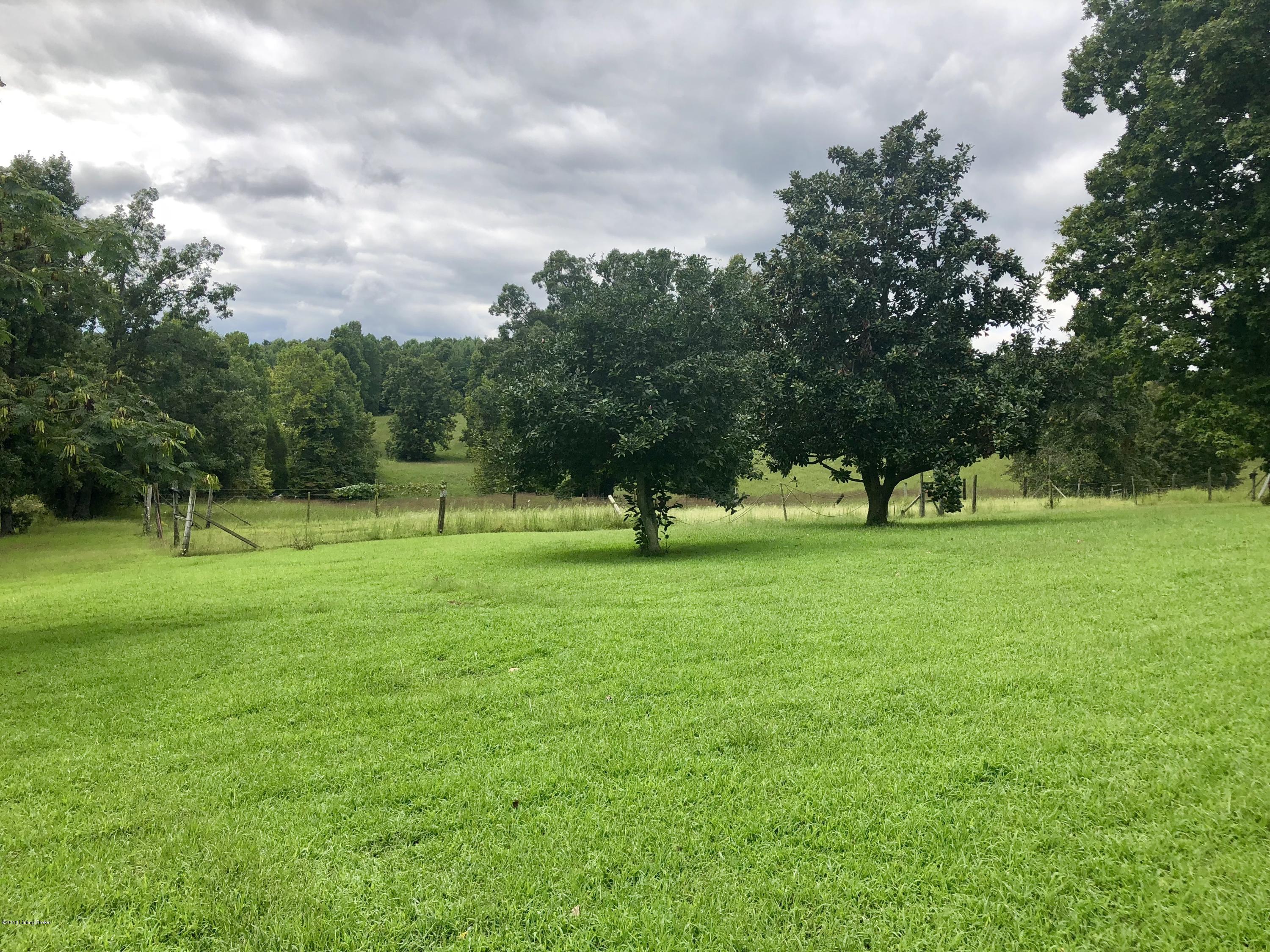 617 North Hopewell Church Road Fordsville, KY 42343 - Photo 75 of 116 75
