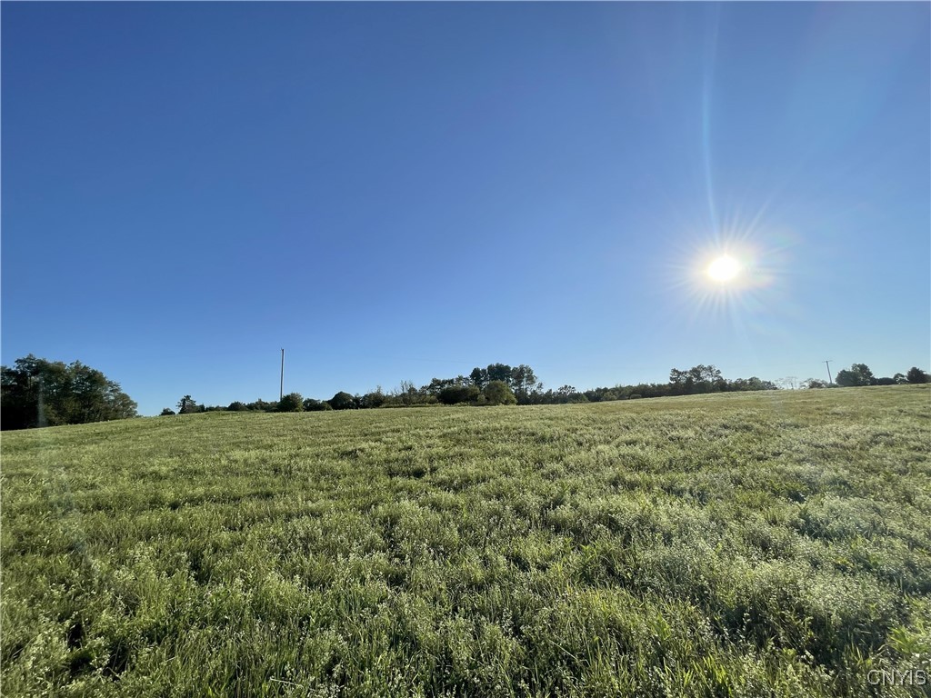 Weiler Road Constableville, NY 13325 - Photo 2 of 3