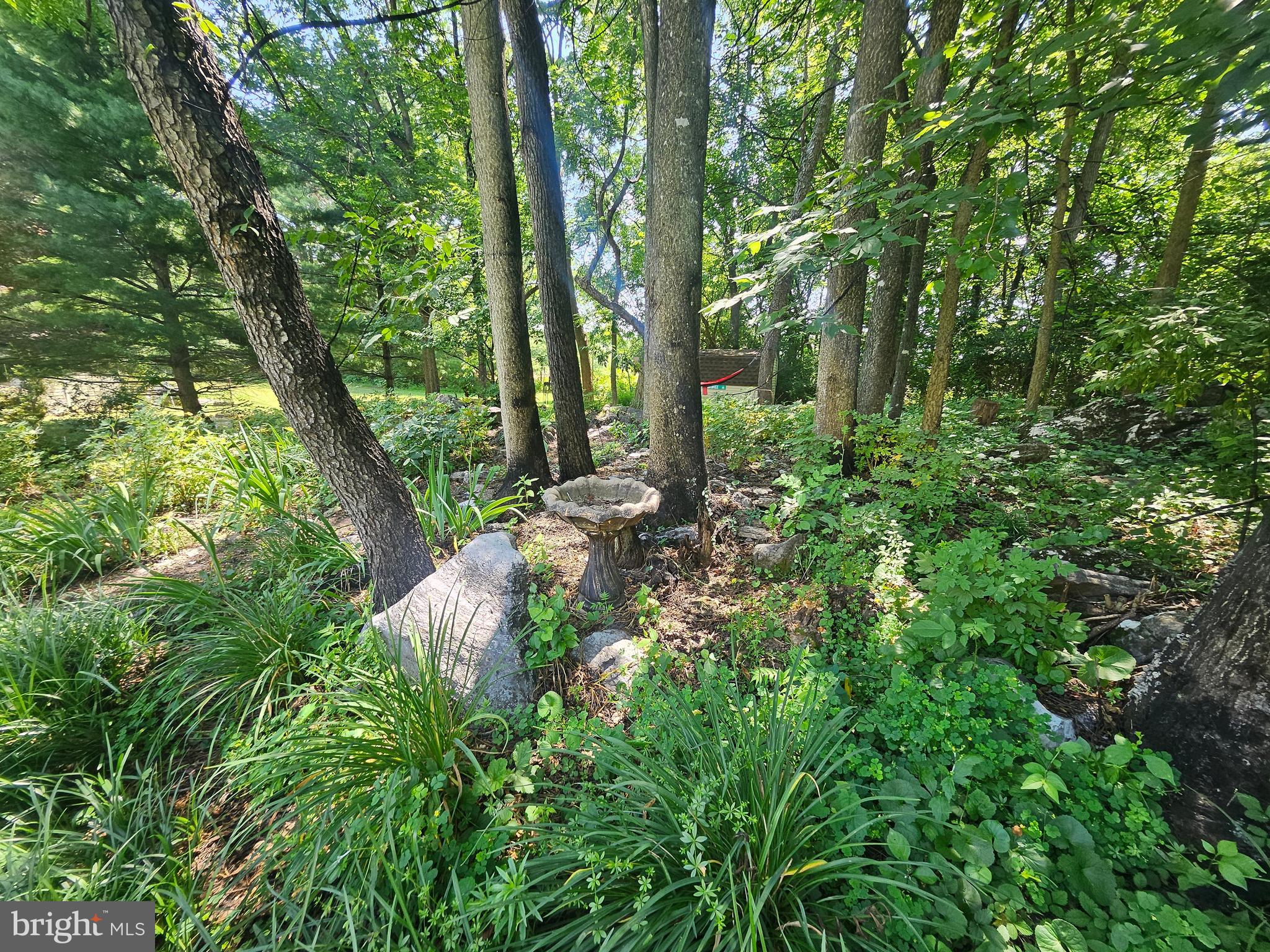 1918 Senseny Road Berryville, VA 22611 - Photo 42 of 58